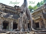 Angkor Wat 2