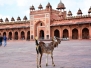 Fatehpur Sikri 2