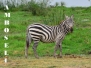 Kenya 2024c