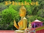 Phuket Island 1