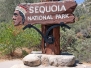 Sequoia National Park & Kings Canyon