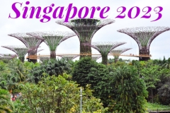 Singapore 2023b