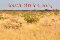 South Africa 2024