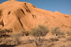 Spitzkoppe