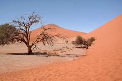 The Namib Desert, Sossusvlei & Deadvlei 2