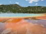 Yellowstone National Park 1