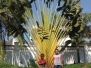 Zimbabwe 07.2011
