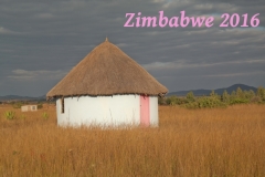 Zimbabwe 2016