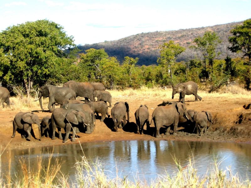 South Africa