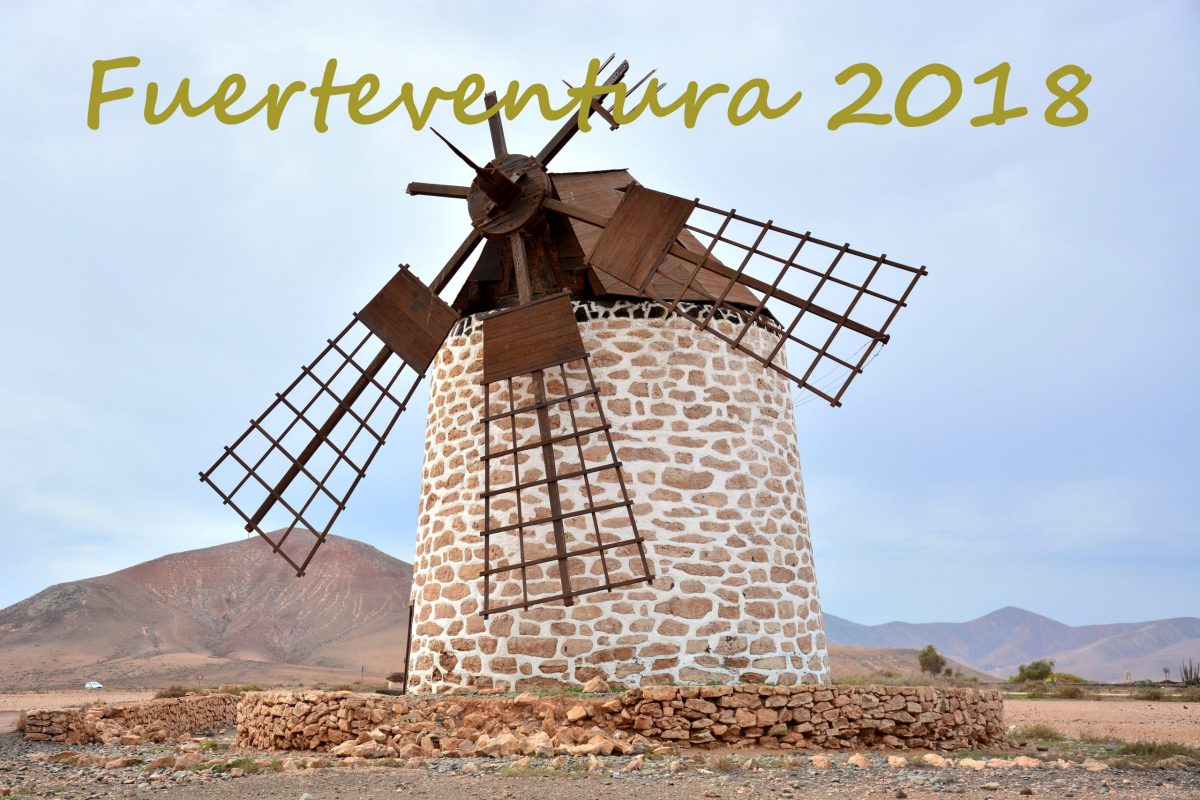 Windmill Canary Islands Fuerteventura